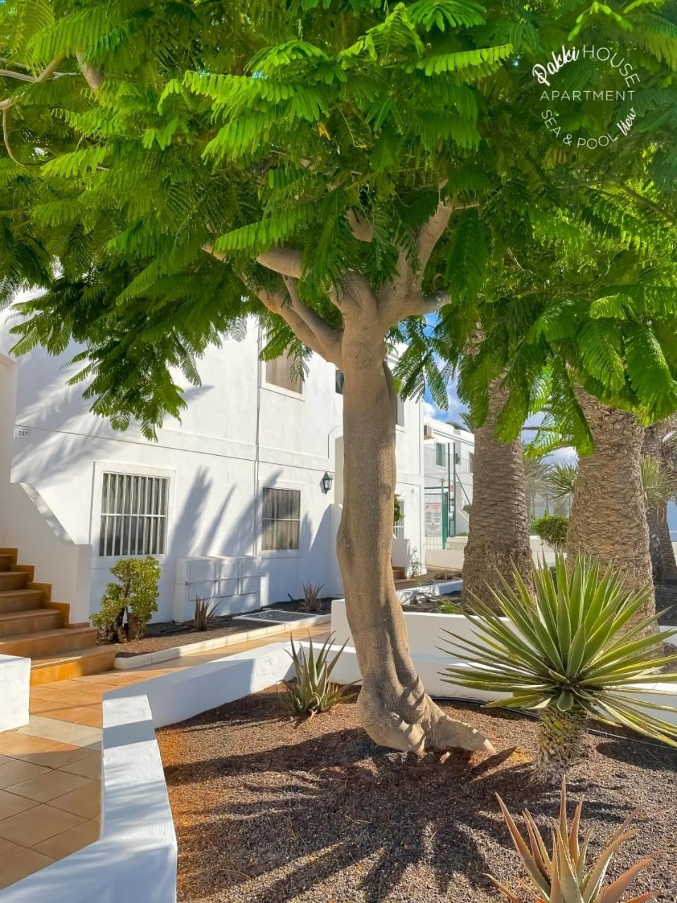 Pakki House Corralejo