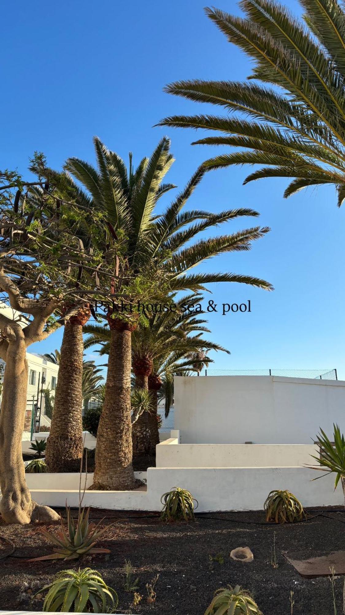 Apartment Pakki House